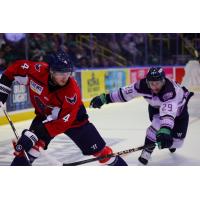 South Carolina Stingrays' Connor Mayor versus Florida Everblades' Anthony Romano