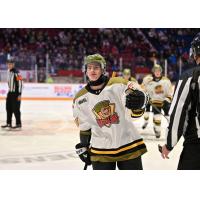 North Bay Battalion's Ihnat Pazii