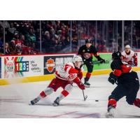 Grand Rapids Griffins battle the Charlotte Checkers