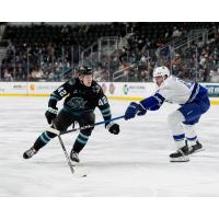 San Jose Barracuda's Luca Cagnoni versus Abbotsford Canucks' Vilmer Alriksson
