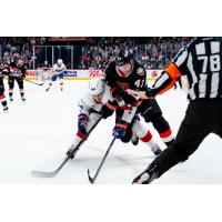 Belleville Senators right wing Arthur Kaliyev (right) vs. the Laval Rocket