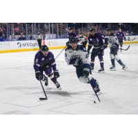 Worcester Railers forward Cole Donhauser vs. the Greensboro Gargoyles
