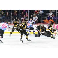 Wheeling Nailers goaltender Jake Smith stops a Reading Royals' shot