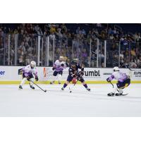 Greenville Swamp Rabbits forward Dante Sheriff vs. the Atlanta Gladiators