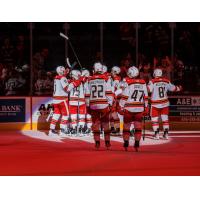 Grand Rapids Griffins celebrate win