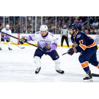 Atlanta Gladiators' Joey Cipollone and Greenville Swamp Rabbits' Carter Savoie in action
