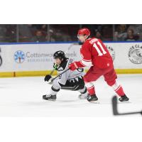 Ottawa Senators' Jake Sanderson and Allen Americans' Thomas Caron in action