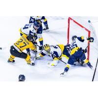 Norfolk Admirals goaltender Logan Stein sprawls to keep the puck out of the net