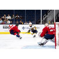 Atlanta Gladiators battle the South Carolina Stingrays