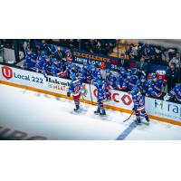 Kitchener Rangers exchange congratulations along the bench