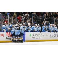 Toledo Walleye gather following a goal