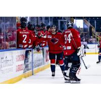 South Carolina Stingrays exchange fist bumps along the bench