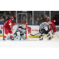 Michael Gildon (left) and Thomas Caron of the Allen Americans battle for the puck