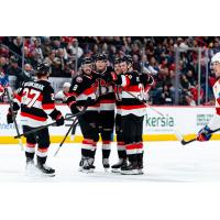 Belleville Senators celebrate a goal