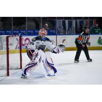 Worcester Railers goaltender Henrik Tikkanen
