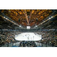 A sellout crowd at the Pacific Coliseum watches the first Vancouver Goldeneyes game