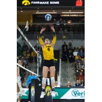 Iowa setter Claire Ammeraal