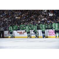 Florida Everblades exchange congratulations along the bench