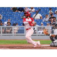 Ottawa Titans infielder AJ Wright