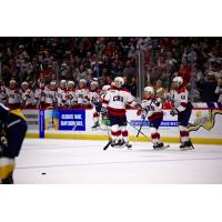 South Carolina Stingrays in action