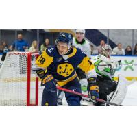 Forward Jace Isley with the Norfolk Admirals