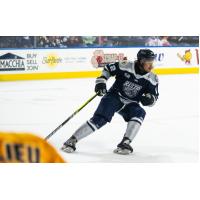 Forward Kolby Johnson with the Worcester Railers