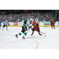 Texas Stars forward Harrison Scott vs. the Grand Rapids Griffins