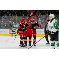 Grand Rapids Griffins exchange congratulations following a goal against the Texas Stars
