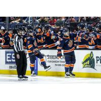 Greenville Swamp Rabbits give congratulations along the bench