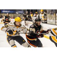 Wheeling Nailers defenseman David Breazeale (left) vs. the Indy Fuel