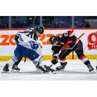 Belleville Senators centre Garrett Pilon (right) faces off with the Manitoba Moose