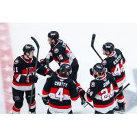 Belleville Senators gather after a goal against the Manitoba Moose