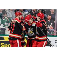Grand Rapids Griffins celebrate a goal against the Texas Stars
