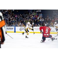 Atlanta Gladiators forward Ryan Nolan fires a shot against the South Carolina Stingrays