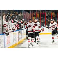 Rapid City Rush exchange congratulations with the bench