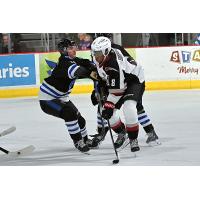 Vancouver Giants left wing Aaron Obobaifo vs. the Wenatchee Wild
