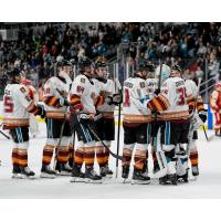 San Jose Barracuda congratulate goaltender Gabriel Carriere