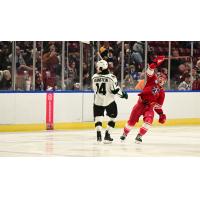 Hank Crone of the Allen Americans reacts after his goal