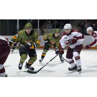 Peterborough Petes centre Kaden McGregor (right) vs. the North Bay Battalion