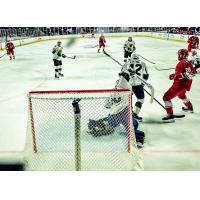 Allen Americans on the attack against the Utah Grizzlies