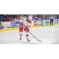 Grand Rapids Griffins defenseman Erik Gustafsson