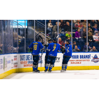Springfield Thunderbirds gather following a goal