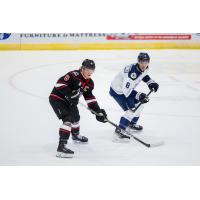 Worcester Railers defenseman Michael Ferrandino (right) vs. the Adirondack Thunder