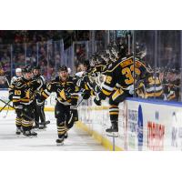 Wheeling Nailers forward Cole Tymkin after one of his goals