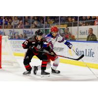 Kitchener Rangers defenseman Jakub Chromiak (right) vs. the Niagara IceDogs