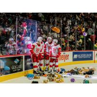 Grand Rapids Griffins on 25th annual Teddy Bear Toss night