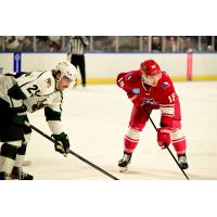 Belleville Senators' Christophe Fillion and Belleville Senators' Harrison Blaisdell on game night