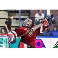 Vancouver Giants' Kelton Pyne