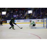 Florida Everblades eye the goal against the Savannah Sand Gnats
