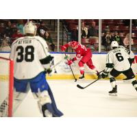 Allen Americans forward Spencer Asuchak with the puck